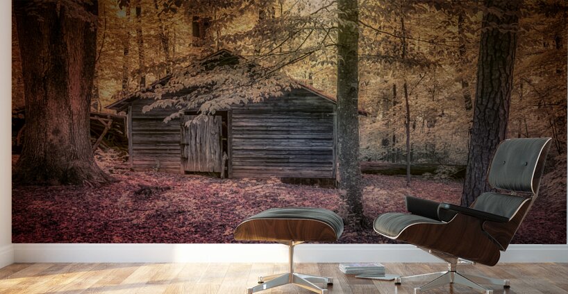 Abandoned Cabin Sanctuary Wall Murals