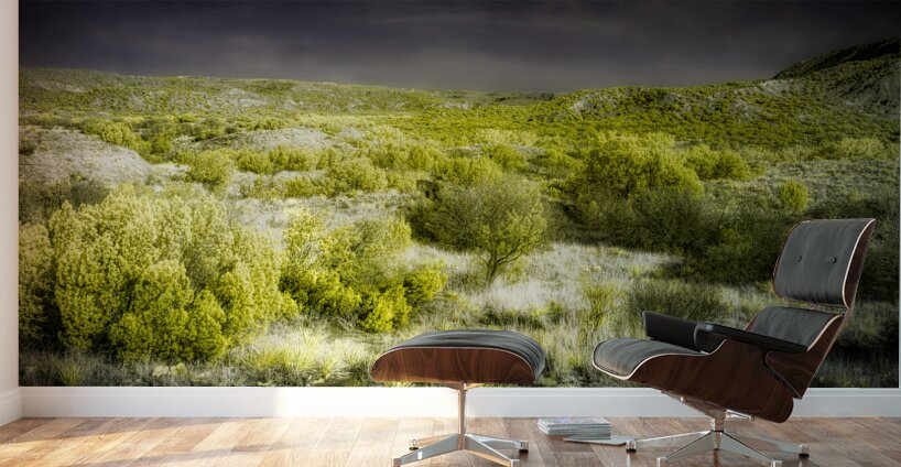 Shrubs and Trees in Secret Spectrum Wall Murals