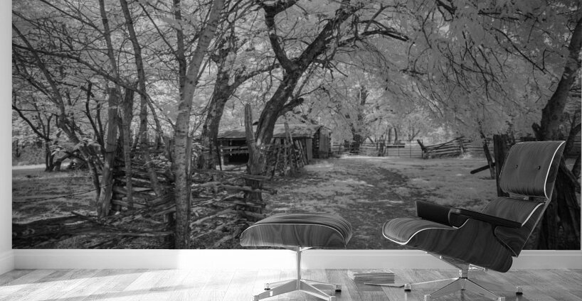 Farm path - 2 Wall Murals