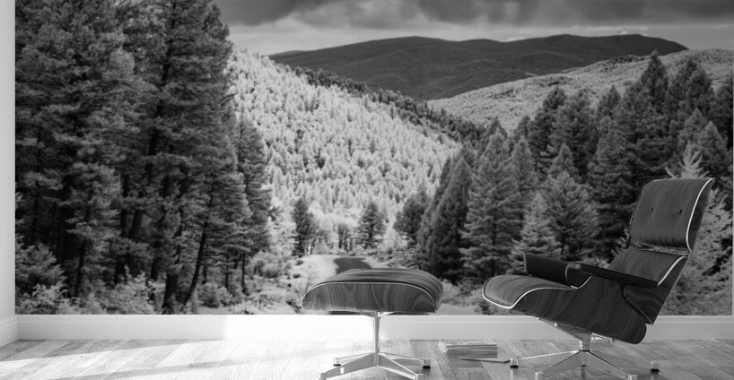 Ethereal Journey: Winding Roads of Elkhorn Ghost Town in Montana Wall Murals