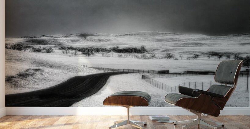 Journey Through the Infinite: An Eternal Horizon Wall Murals