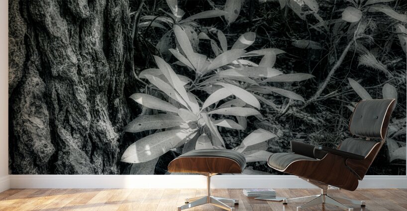 Shadows and Light Dance: Kentucky Leaves Wall Murals