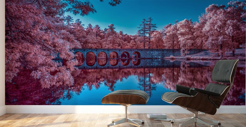 Infrared Oasis: Pink Arches Wall Murals