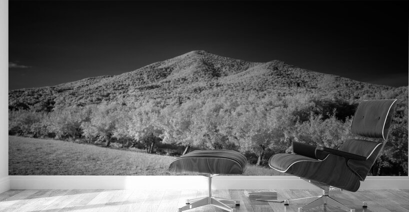 Peaks of Otter - 2 Wall Murals