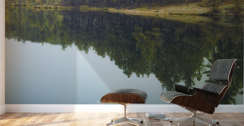 Legion Lake View Wall Murals