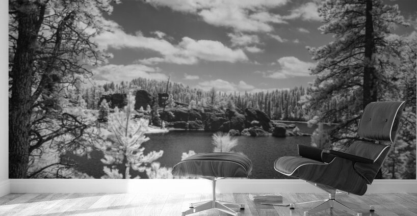 Sylvan Lakes Majesty: An Overview Wall Murals