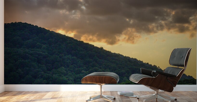 Virginias Golden Veil Wall Murals