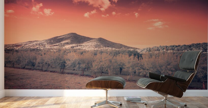 Orange Mountain Shine Wall Murals