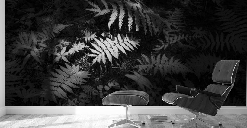 Lighted Fern Wall Murals