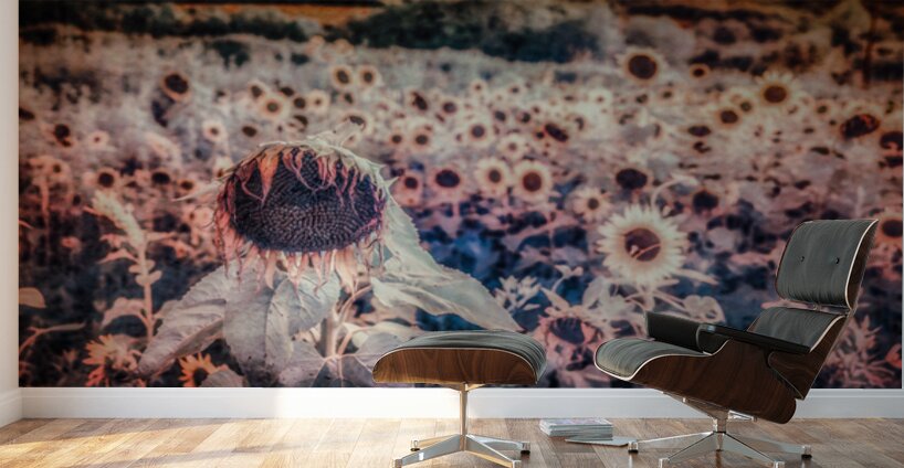 Sunflowers Last Waltz Wall Murals