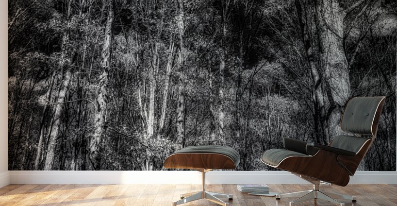 Tall Dark Symphony: A Winters Tale in Infrared Black and White Wall Murals