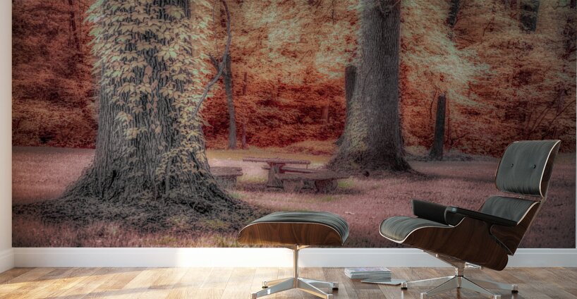 Aunts Oasis: Discovering the Dreamy Charm of a Color Infrared Patio Set in Tennessee Wall Murals