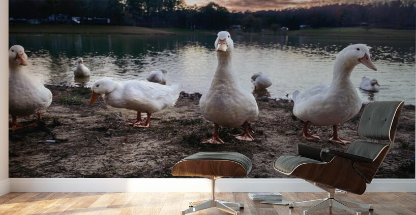 We are Coming Wall Murals