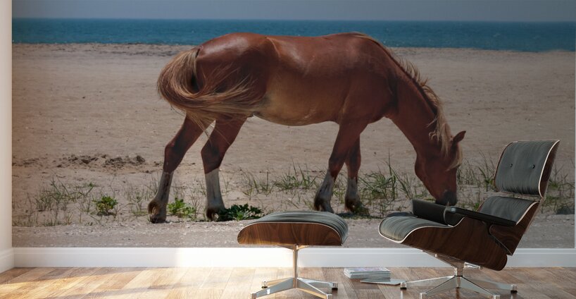 Coastal Grazing Wall Murals