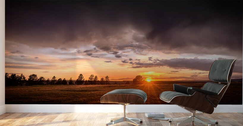 Montana Sunset Wall Murals