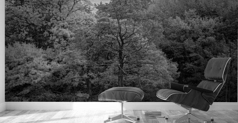 Castles Guardian Wall Murals