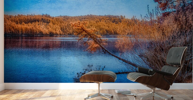 Arboreal Embrace: Trees Embracing the Tranquil Waters Wall Murals