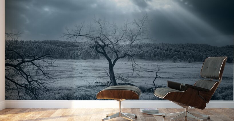 Solace in Solitude: A Blue Lighted Tree in Infrared Wall Murals