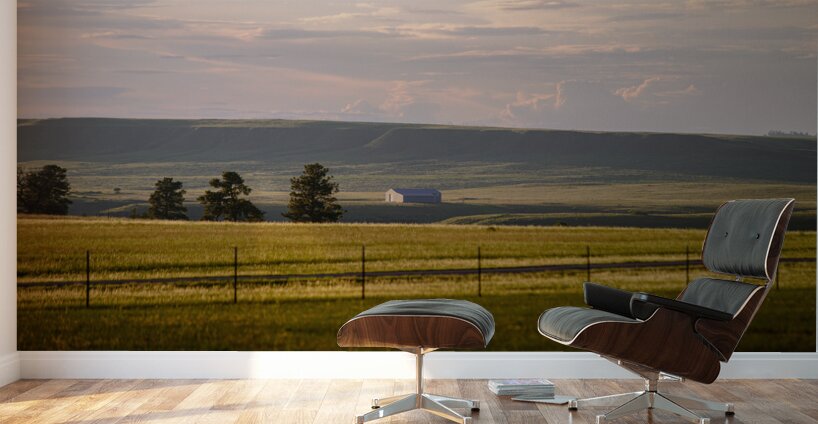 Montanas Golden Hour Hymn Wall Murals