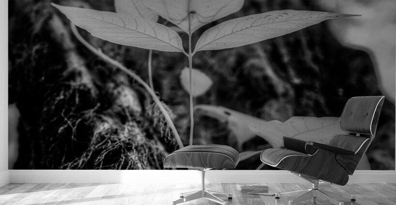 Whispers of Poison Wall Murals