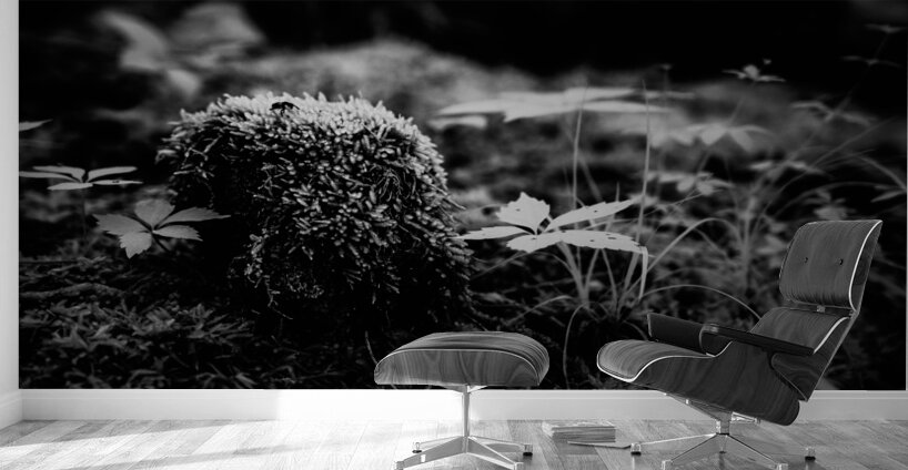 Mossy Whispers Wall Murals