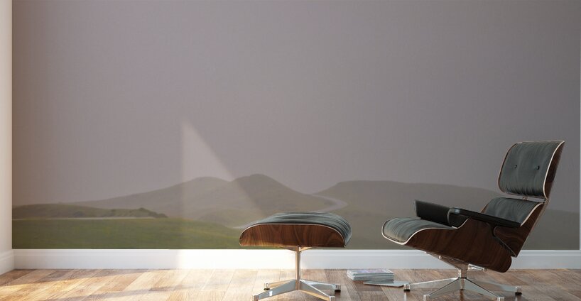 Eternal Echoes Wall Murals