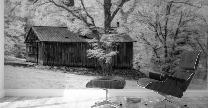 Whispers of the Past: Stonewalls Rustic Barn Wall Murals