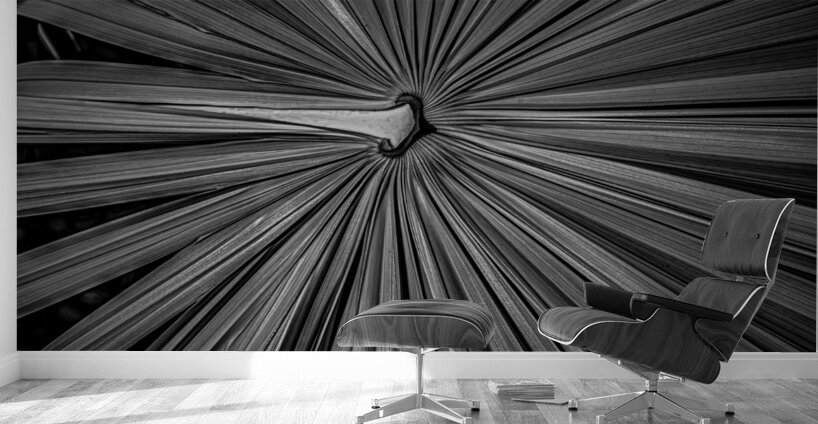 Palm Symmetry Elegance Wall Murals