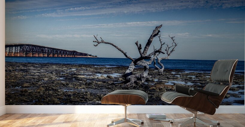 Capturing Serenity: The Tale of Hey Key - A Scenic Journey with Nature Wall Murals