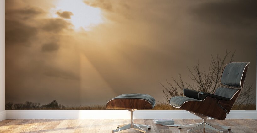 Golden Light Revelation Wall Murals