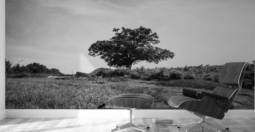 Capturing History: The Iconic Silhouette of the Devils Den Tree in Gettysburg Wall Murals
