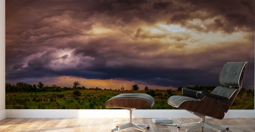 Tempestuous Tranquility  Wall Murals