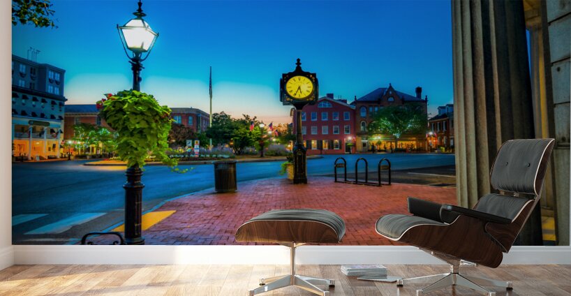 Timeless Dawn in Gettsyburg Wall Murals