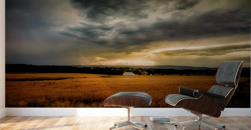 Farmland Sunset Wall Murals