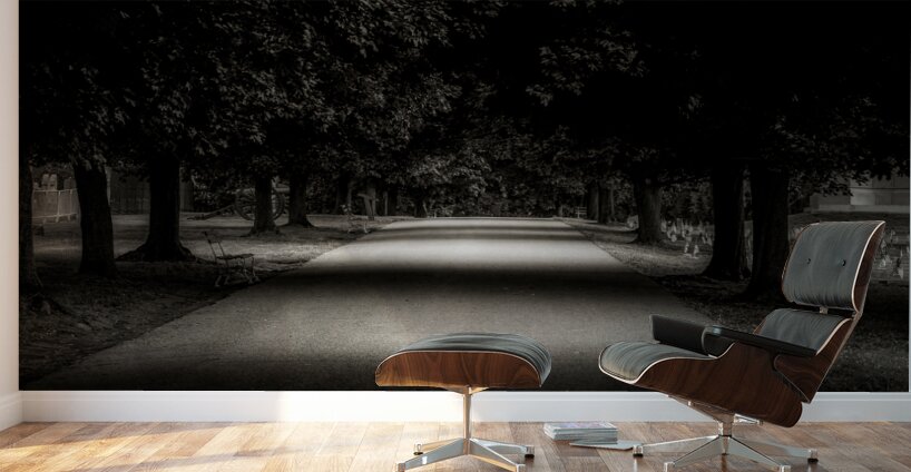 Shadows of Remembrance: Gettysburg National Cemetery  Wall Murals