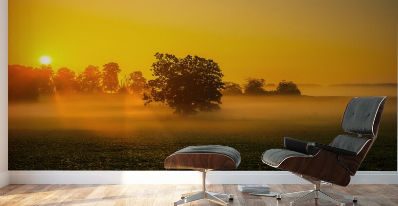 Dawns Embrace: Misty Tree in Gettysburg Wall Murals