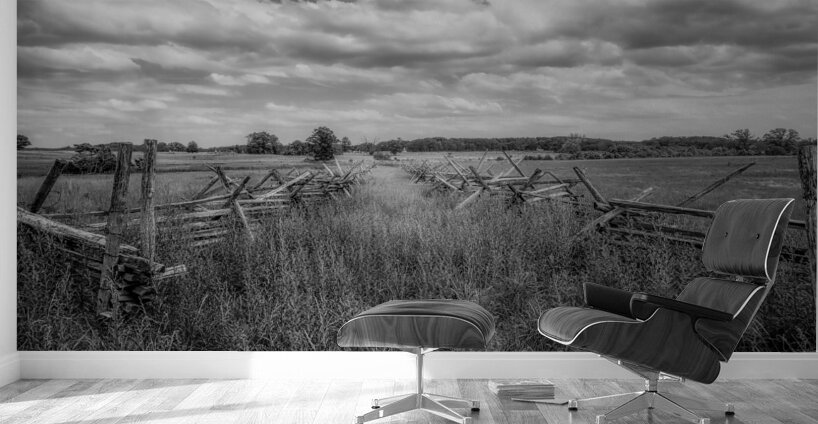 Pastoral Passage: Overgrown farm lane in Gettysburg Wall Murals
