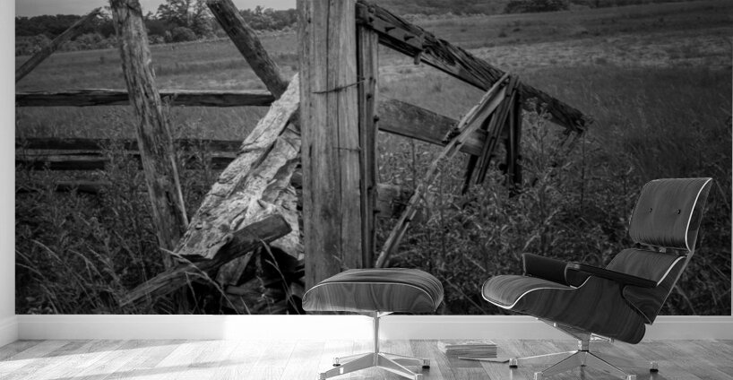 Boundaries of Time Wall Murals