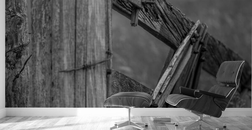 Weathered Gate Wall Murals