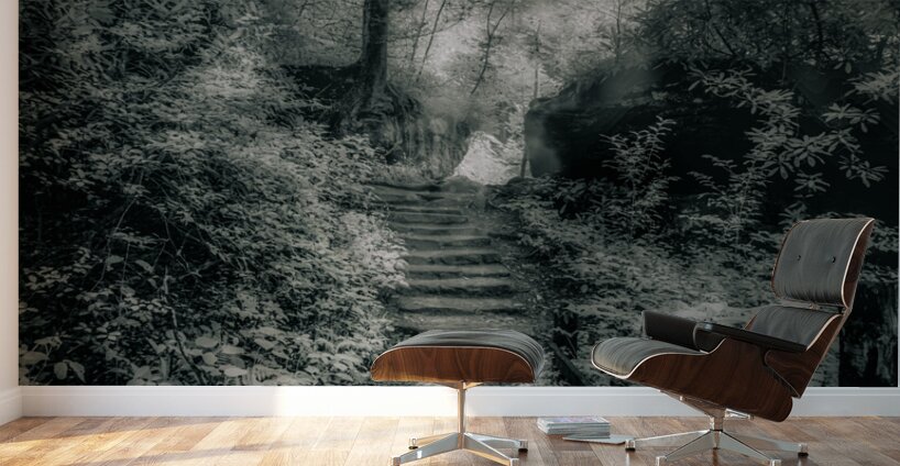 Enchanted Path: A Rain-Kissed Journey in Natural Bridge State Park Wall Murals