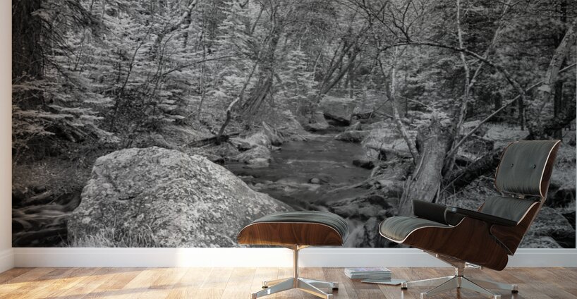 Monochromatic Serenity: Exploring Grace Coolidge Creek in Custer - Tall Wall Murals