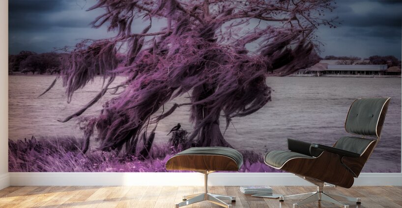 Purple Shelter: A Tranquil Stroll Through Venetian Gardens in Le Wall Murals