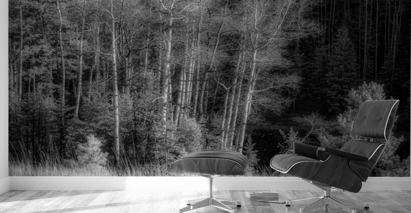 Mueller Aspen Series: Twilight Whispers Wall Murals