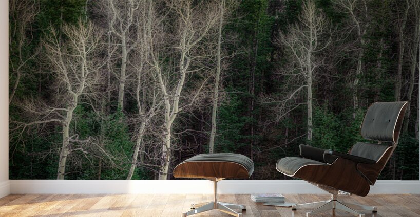 Mueller Aspen Series: Twilight Whispers Wall Murals