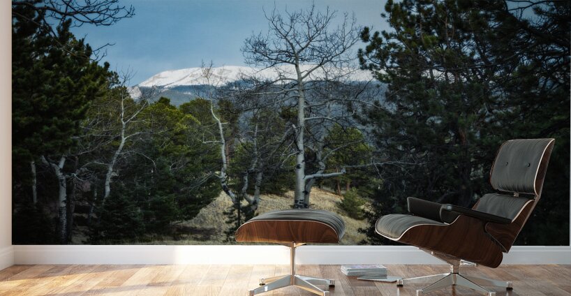 Mueller Aspen Series: Aspen Mountain Wall Murals