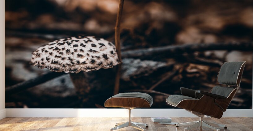 Mystical Fungi: Speckled Shroom Wall Murals