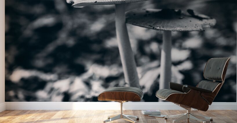 Mystical Fungi: Blue Shroom in the Enchanted Woods Wall Murals