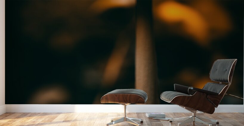 Mystical Fungi: Down Below in the Shady Undergrowth Wall Murals
