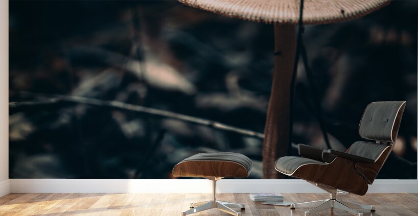 Mystical Fungi: Reaching for the Sky The Up Above Shroom Wall Murals