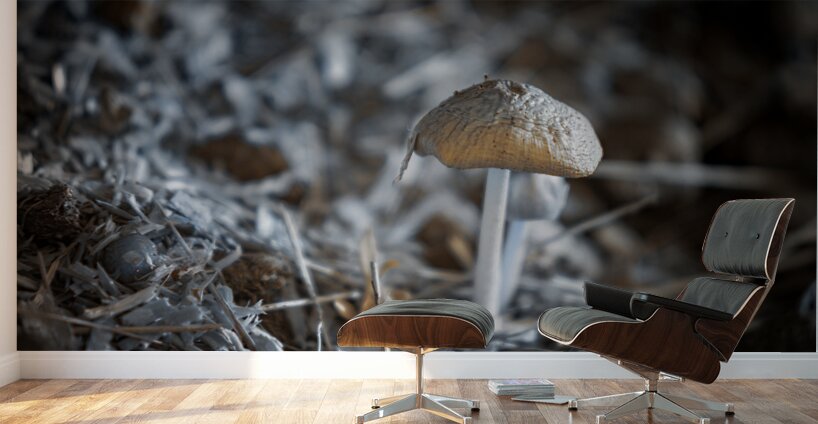 Montana Ranch Shroom: Whispering Wind Toadstool Wall Murals